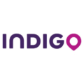 Indigo